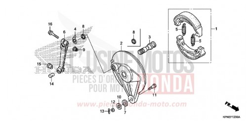 PANNELLO FRENO POSTERIORE GLR1251WHF di 2015